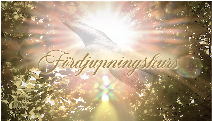 fördjupningskurs-mini