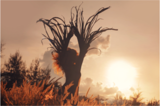 shamansk-healing-avalon.png