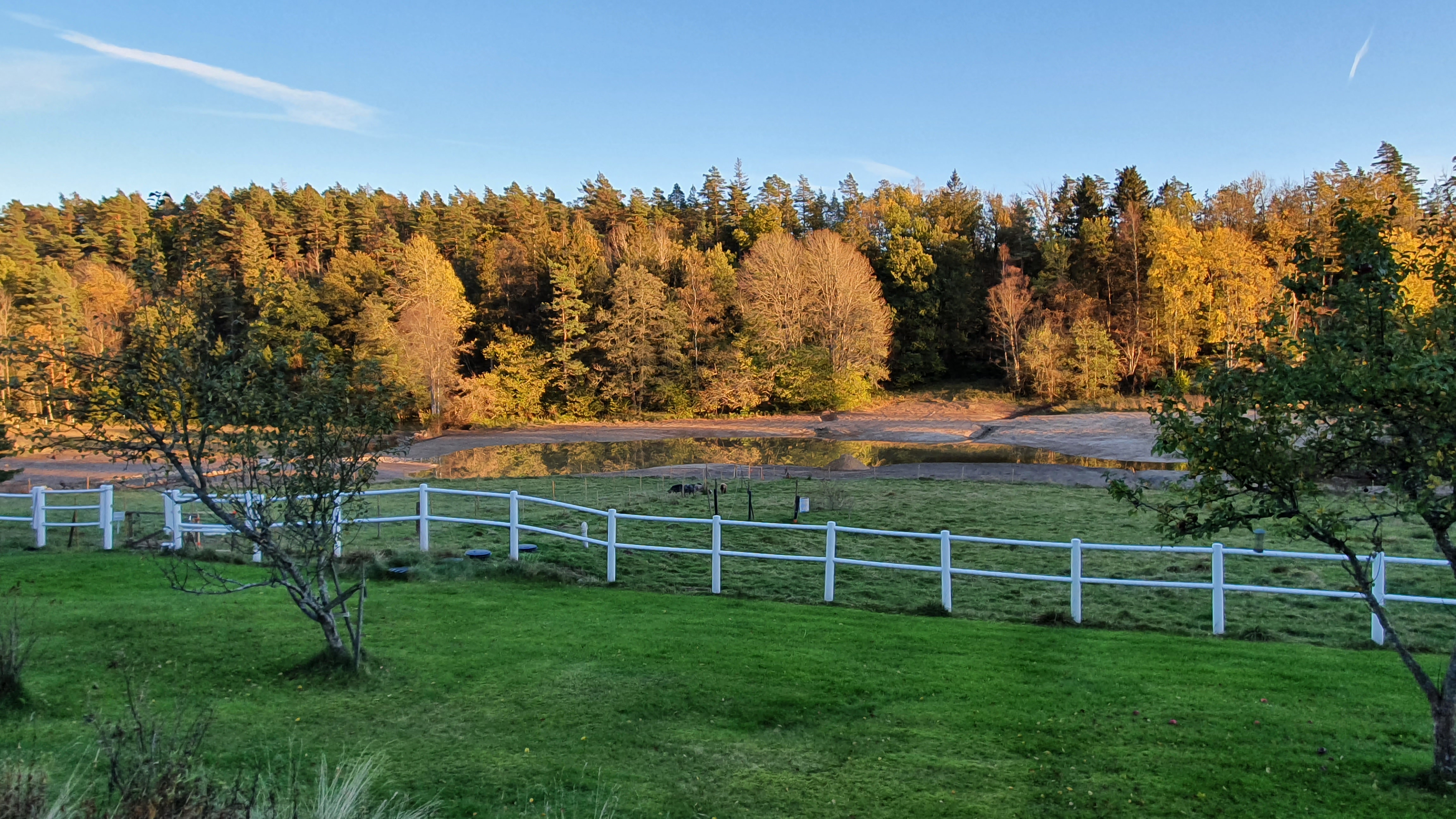 skogen-avalon-healingcenter