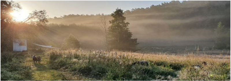 avalon-healingcenter-orust