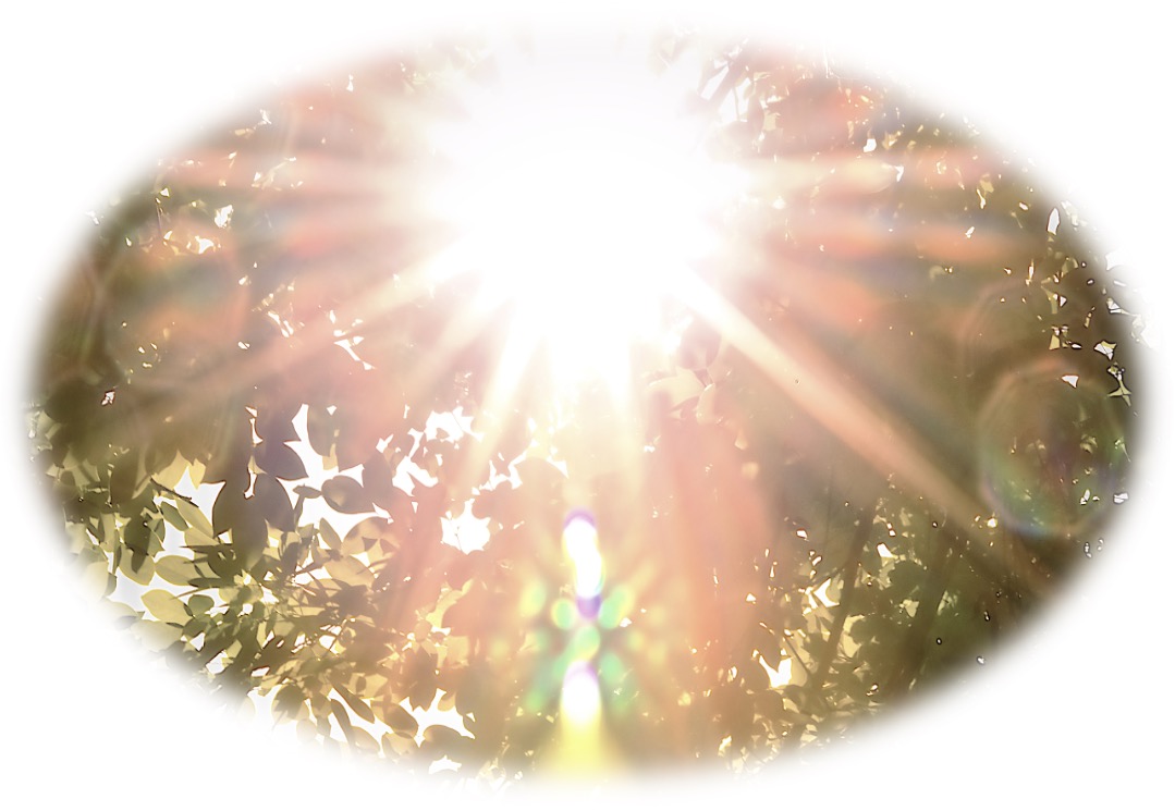 behandlingar-avalon-healing