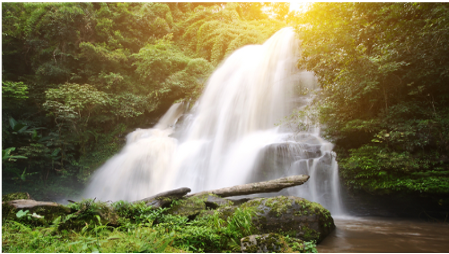 manifestation-mastery-avalon
