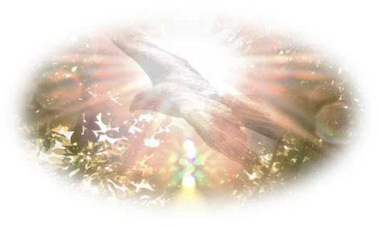 shamansk-healing