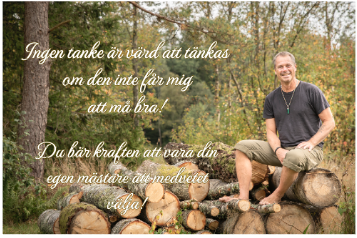 tankvart-par-karlsson