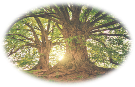 tystnad-retreat-avalon-healingcenter